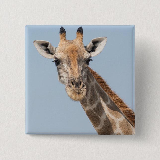 Badge Carré 5 Cm Angolan Giraffe Portrait (Devant)