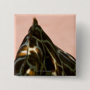 Badge Carré 5 Cm Animal captif