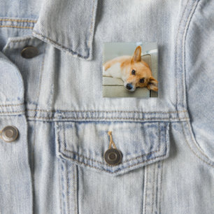 Badge Carré 5 Cm Animaux de bébés cutest   Chiot de Corgi sur canap