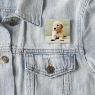 Badge Carré 5 Cm Animaux de bébés cutest   Golden Retriever Puppy
