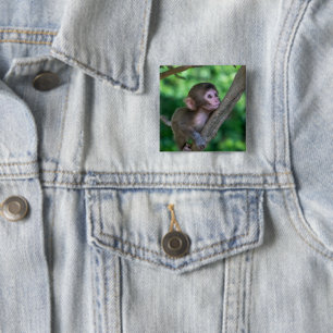 Badge Carré 5 Cm Animaux de bébés cutest Singe bébé