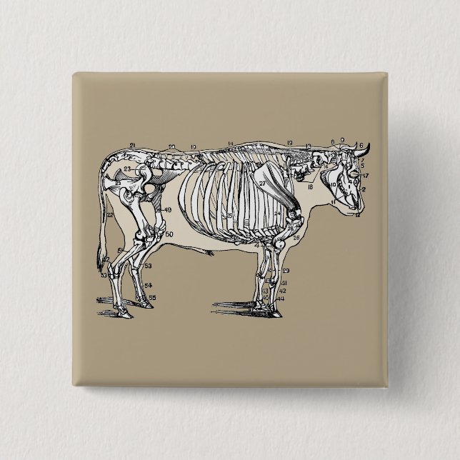 Badge Carré 5 Cm Antique Cow Skeleton Bones (Devant)