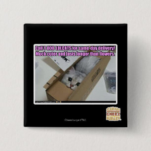 Badge Carré 5 Cm Appel 1-800-LOLCATS