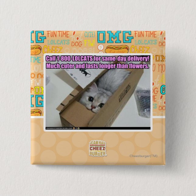 Badge Carré 5 Cm Appel 1-800-LOLCATS (Devant)