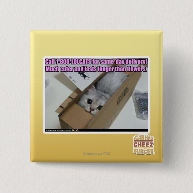 Badge Carré 5 Cm Appel 1-800-LOLCATS (Devant)