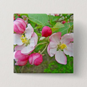 Badge Carré 5 Cm Apple Blossom Time