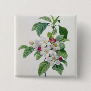 Badge Carré 5 Cm Apple fleurissent, du 'DES de Les Choix plus des