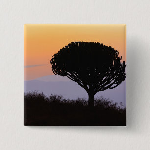 Badge Carré 5 Cm Arbre candélabre découpé à l'aube,