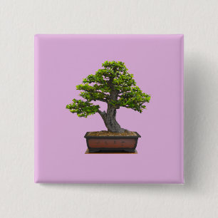Badge Carré 5 Cm arbre de bonsaïs