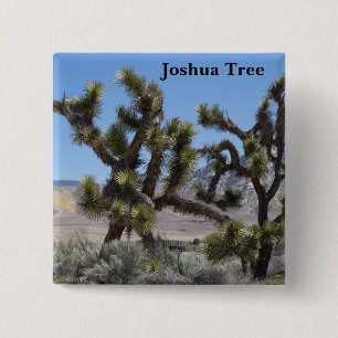 Badge Carré 5 Cm Arbre de Joshua en Californie