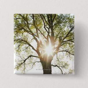Badge Carré 5 Cm Arbre ensoleillé