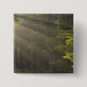 Badge Carré 5 Cm Arbres le long de 7 Lakes Drive, Harriman, NY
