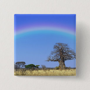 Badge Carré 5 Cm Arc-en-ciel et baobab africain, Adansonia