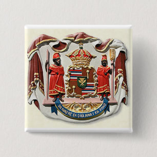 Badge Carré 5 Cm Armoiries de Hawaï