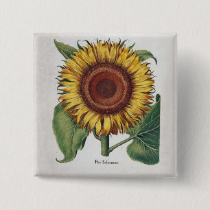 Badge Carré 5 Cm Art de fleur de damas vintage tournesol