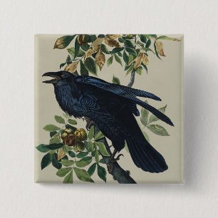 Badge Carré 5 Cm Art de la nature de l'oiseau corbeau Audubon vinta