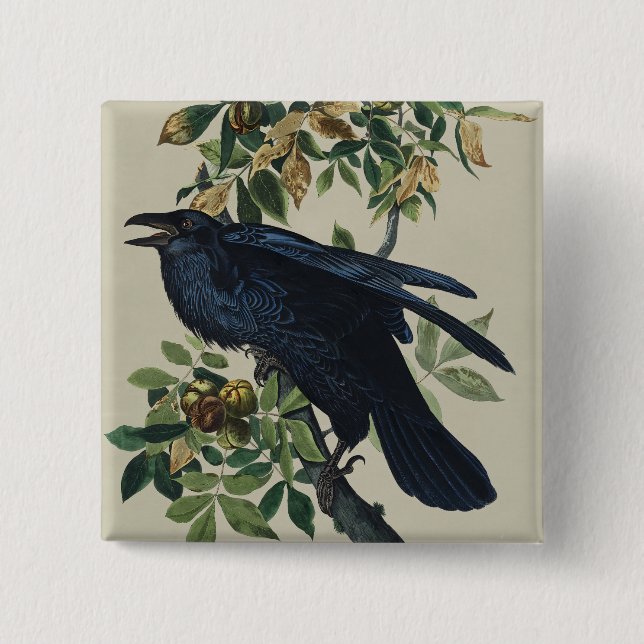 Badge Carré 5 Cm Art de la nature de l'oiseau corbeau vintage Audub (Devant)