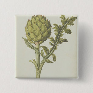 Badge Carré 5 Cm Artichaut : Scolymus de Cynara, c.1568