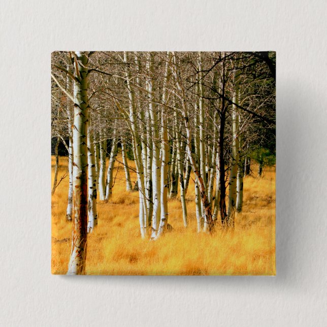 Badge Carré 5 Cm aspen woods button (Devant)