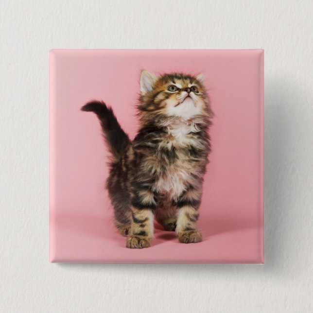 Badge Carré 5 Cm Assez dans le chaton rose (Devant)