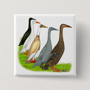 Badge Carré 5 Cm Assortiment de canard coureur