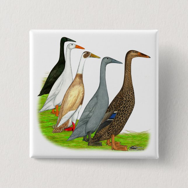 Badge Carré 5 Cm Assortiment de canard coureur (Devant)