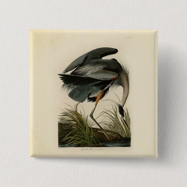 Badge Carré 5 Cm Audubon Great Blue Heron Marsh Bird (Devant)