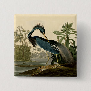 Badge Carré 5 Cm Audubon Louisiana Heron Birds America Art