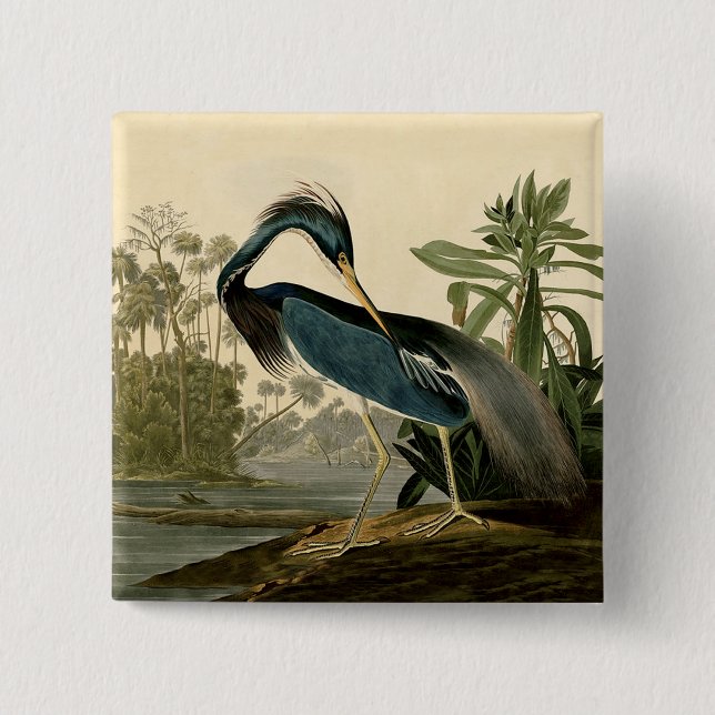 Badge Carré 5 Cm Audubon Louisiana Heron Birds America Art (Devant)
