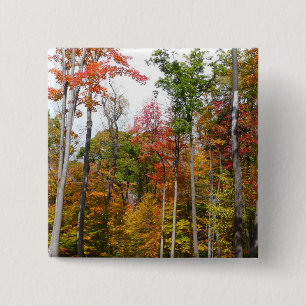 Badge Carré 5 Cm Automne dans la forêt Colorée Photographie d'autom