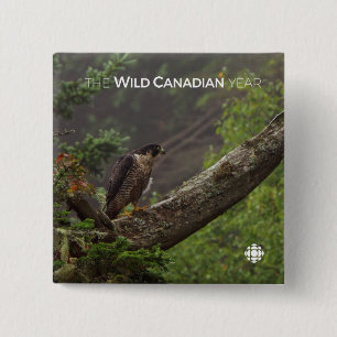 Badge Carré 5 Cm Automne - Faucon pèlerin