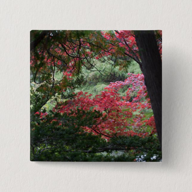Badge Carré 5 Cm Autumn Forest (Devant)