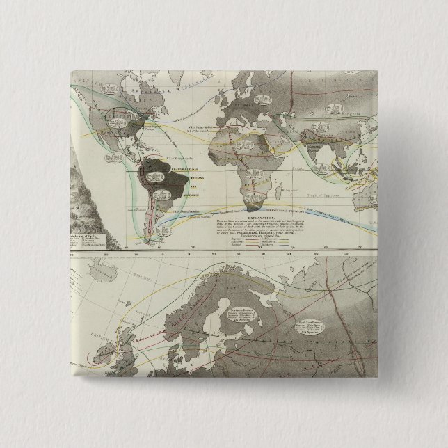 Badge Carré 5 Cm Aves, Oiseaux (Devant)