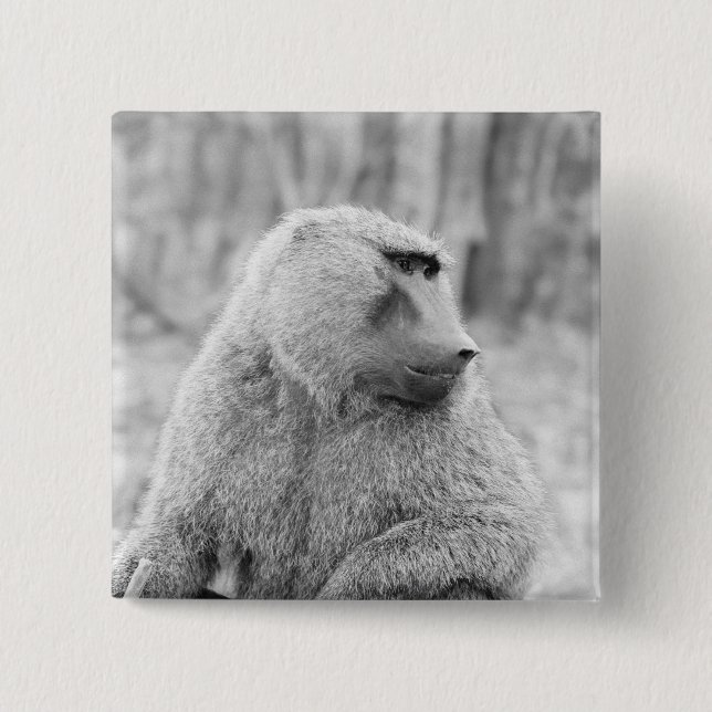 Badge Carré 5 Cm babouin africain (Devant)