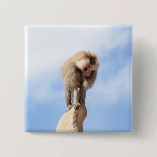 Badge Carré 5 Cm Babouin majestueux sur un sommet de montagne
