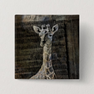 Badge Carré 5 Cm Baby Giraffe