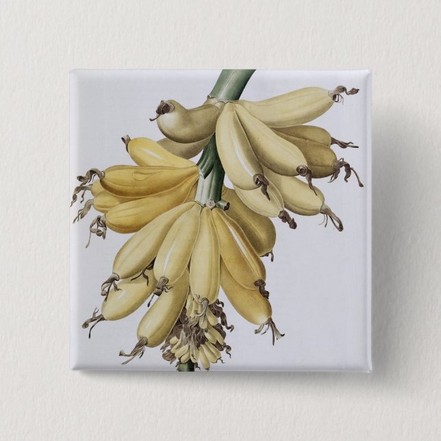 Badge Carré 5 Cm Banane, 1816 (Devant)