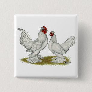 Badge Carré 5 Cm Bantams birmans
