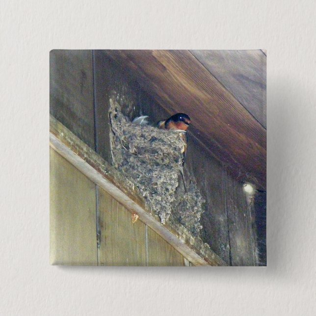 Badge Carré 5 Cm Barn Swallow Series (Devant)