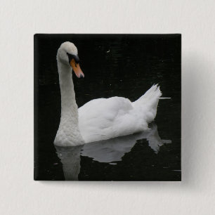 Badge Carré 5 Cm Beau Bouton de cygne blanc