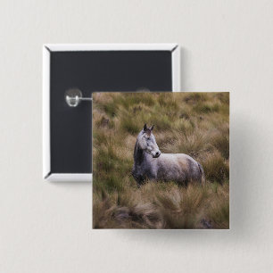 Badge Carré 5 Cm Beau Cheval gris coloré