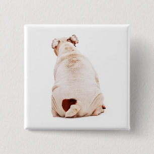 Badge Carré 5 Cm Beau chien drôle blanc Bulldog