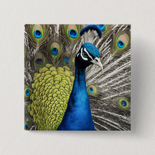Badge Carré 5 Cm Beau Peacock