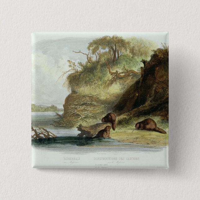 Badge Carré 5 Cm Beaver la hutte sur le Missouri, plaquez 17 du (Devant)
