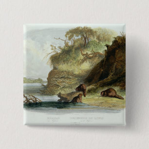 Badge Carré 5 Cm Beaver la hutte sur le Missouri, plaquez 17 du