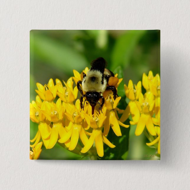 Badge Carré 5 Cm Bee Feasting on Butterfly Weed Wildflowers (Devant)