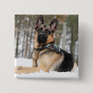 Badge Carré 5 Cm Berger Allemand En Neige
