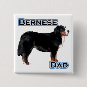 Badge Carré 5 Cm Bernese Papa 4 - Bouton