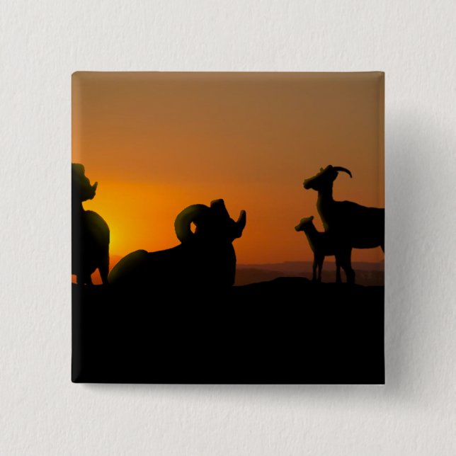 Badge Carré 5 Cm Bighorn Sheep (Devant)