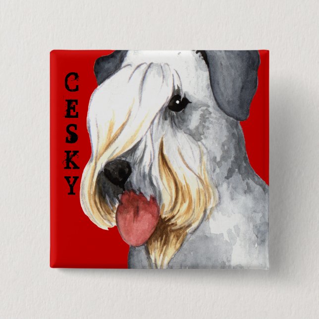 Badge Carré 5 Cm Bloc de couleurs Cesky Terrier (Devant)